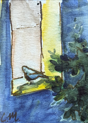 Bird in a window aceo art card thumbnail 1
