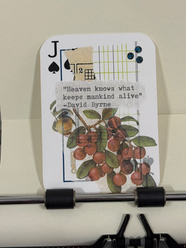 David Byrne quote cherry micro collage by Mazerzine print cherries aceo art card