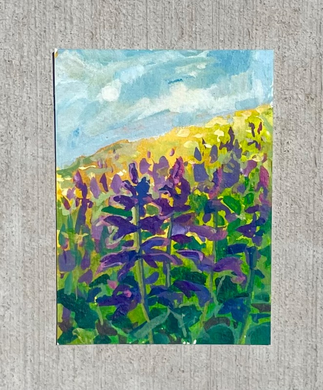 Lupine Lane aceo art card