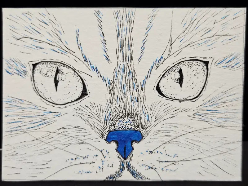 Blue Cat aceo art card