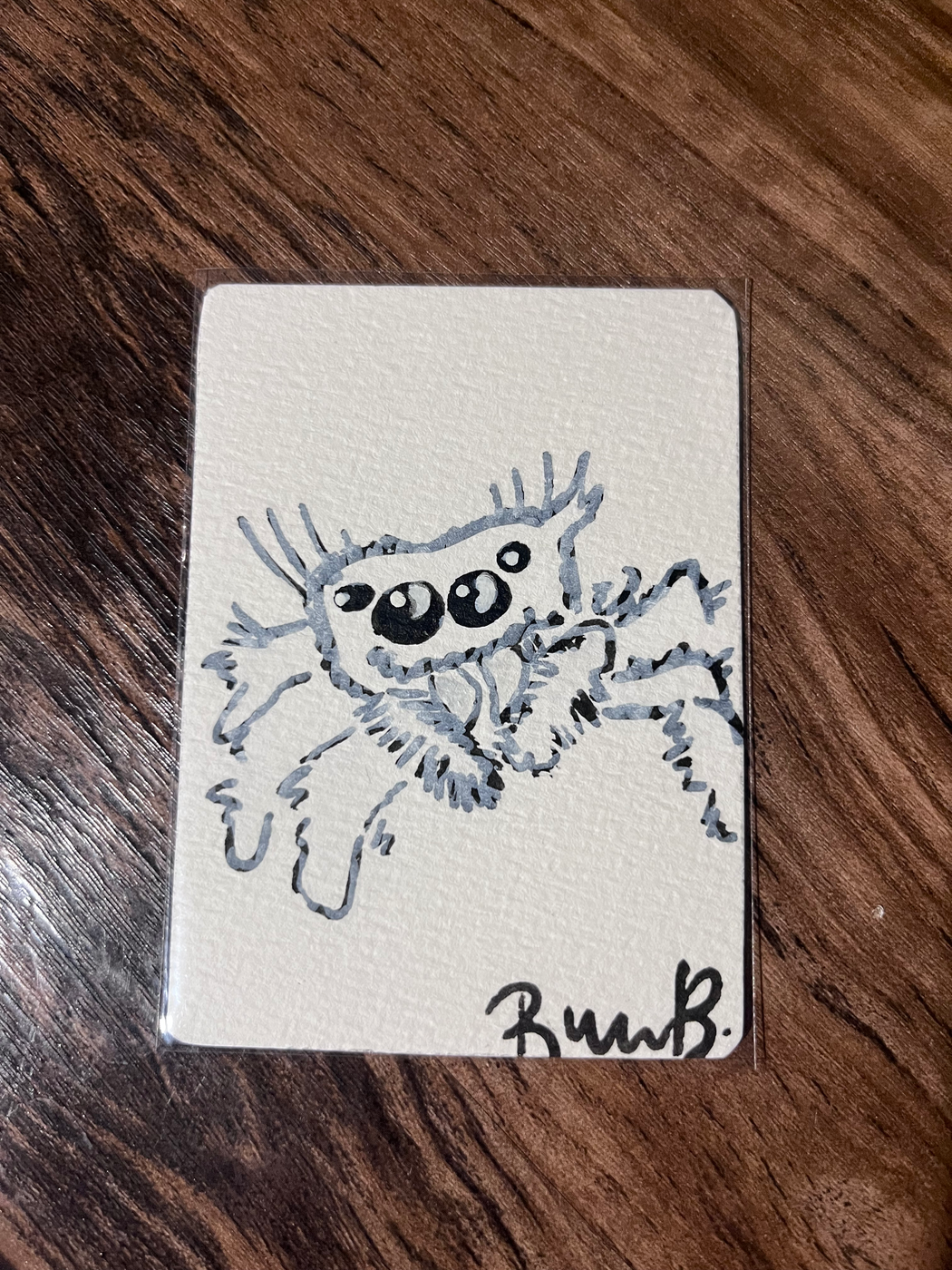 Itsy the White Jumping Spider aceo art card