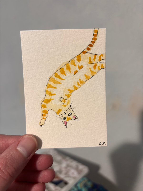 Orange Cat aceo art card