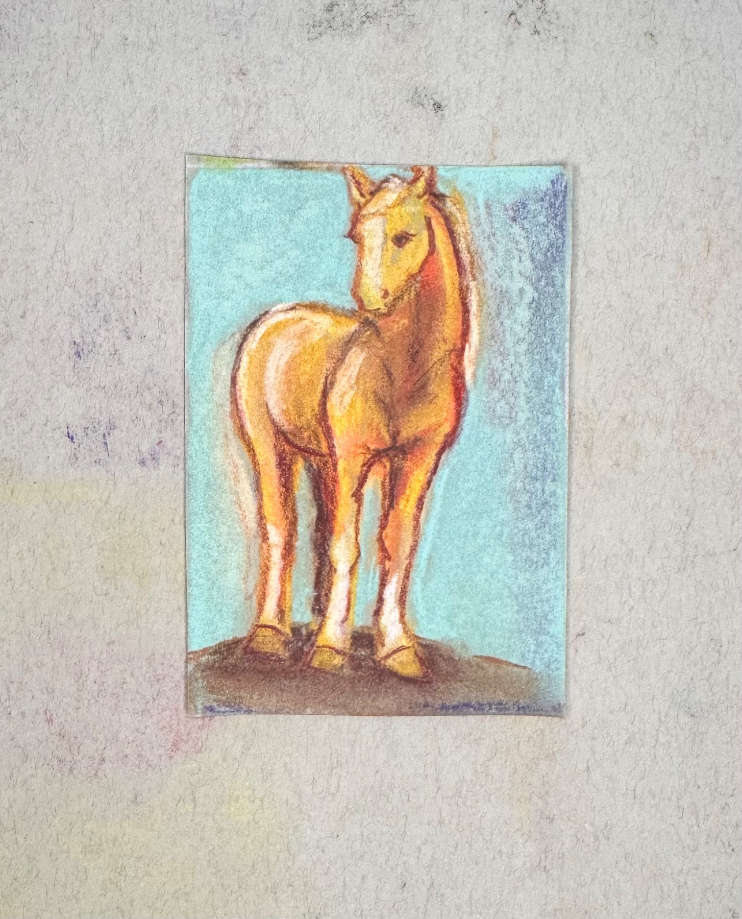Palomino pony aceo art card