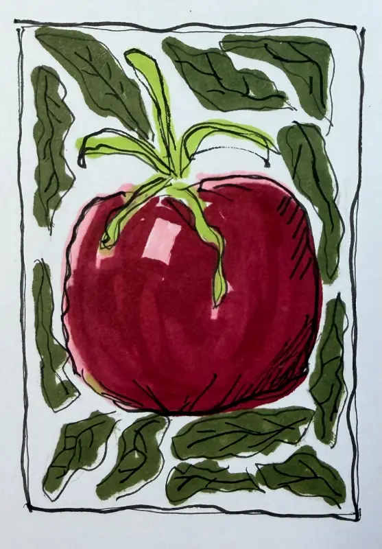 Tomato aceo art card
