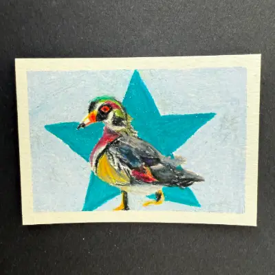 wood duck aceo art card thumbnail 2