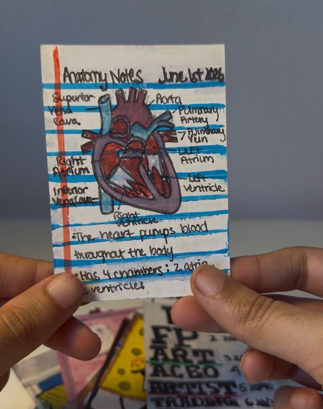 Anatomy Notes of The Heart Medical Series ACEO aceo art card