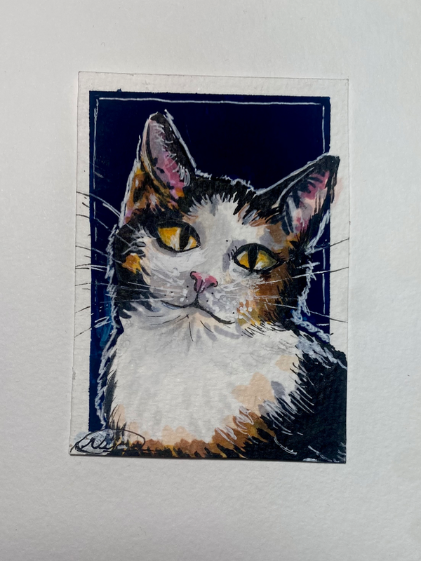 Calico Kitty Cat, blue background. aceo art card