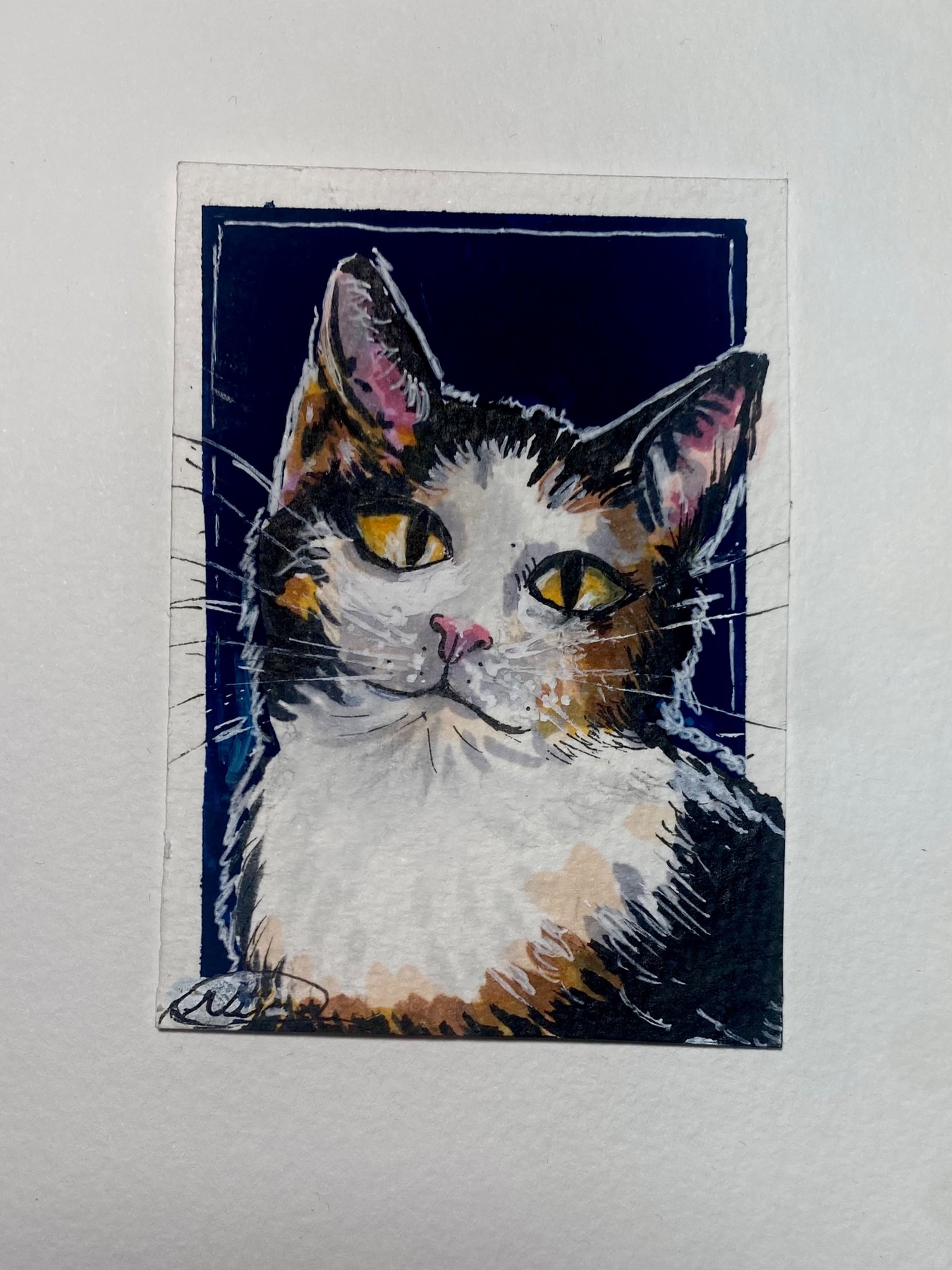 Calico Kitty Cat, blue background. aceo art card
