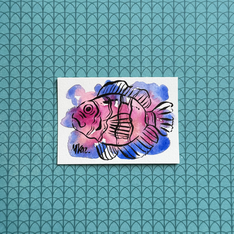 Clown Fish aceo art card