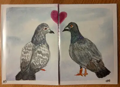 Dreamy Pigeons (Lovebirds Pair #1) aceo art card thumbnail 1