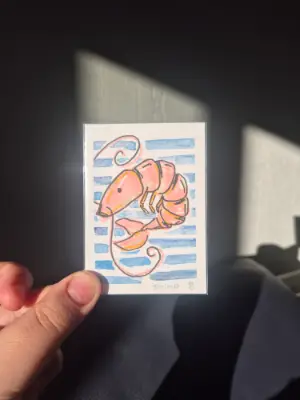 Shrimp aceo art card thumbnail 2