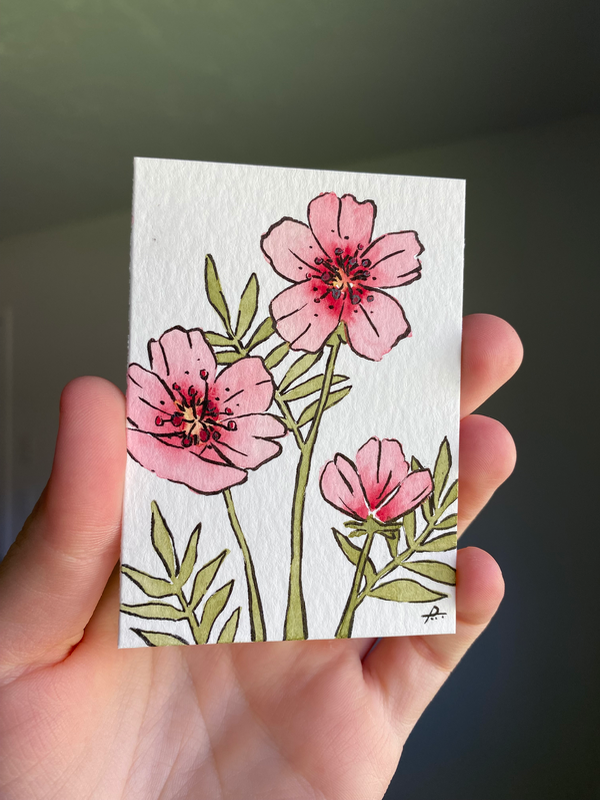 Pink Cosmos II aceo art card