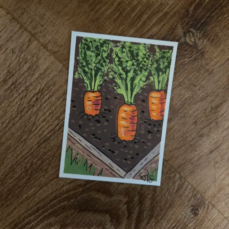 Carrots aceo art card