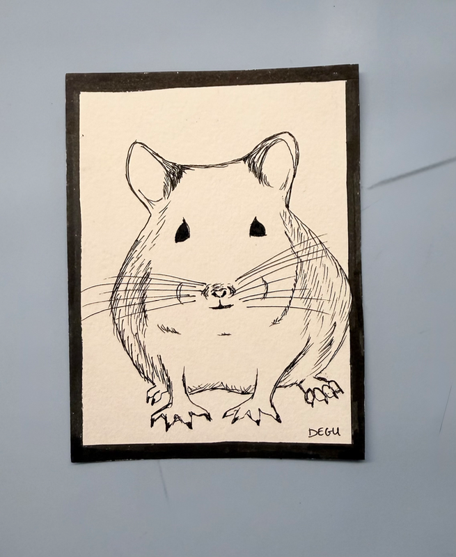Degu/Inked sketch aceo art card