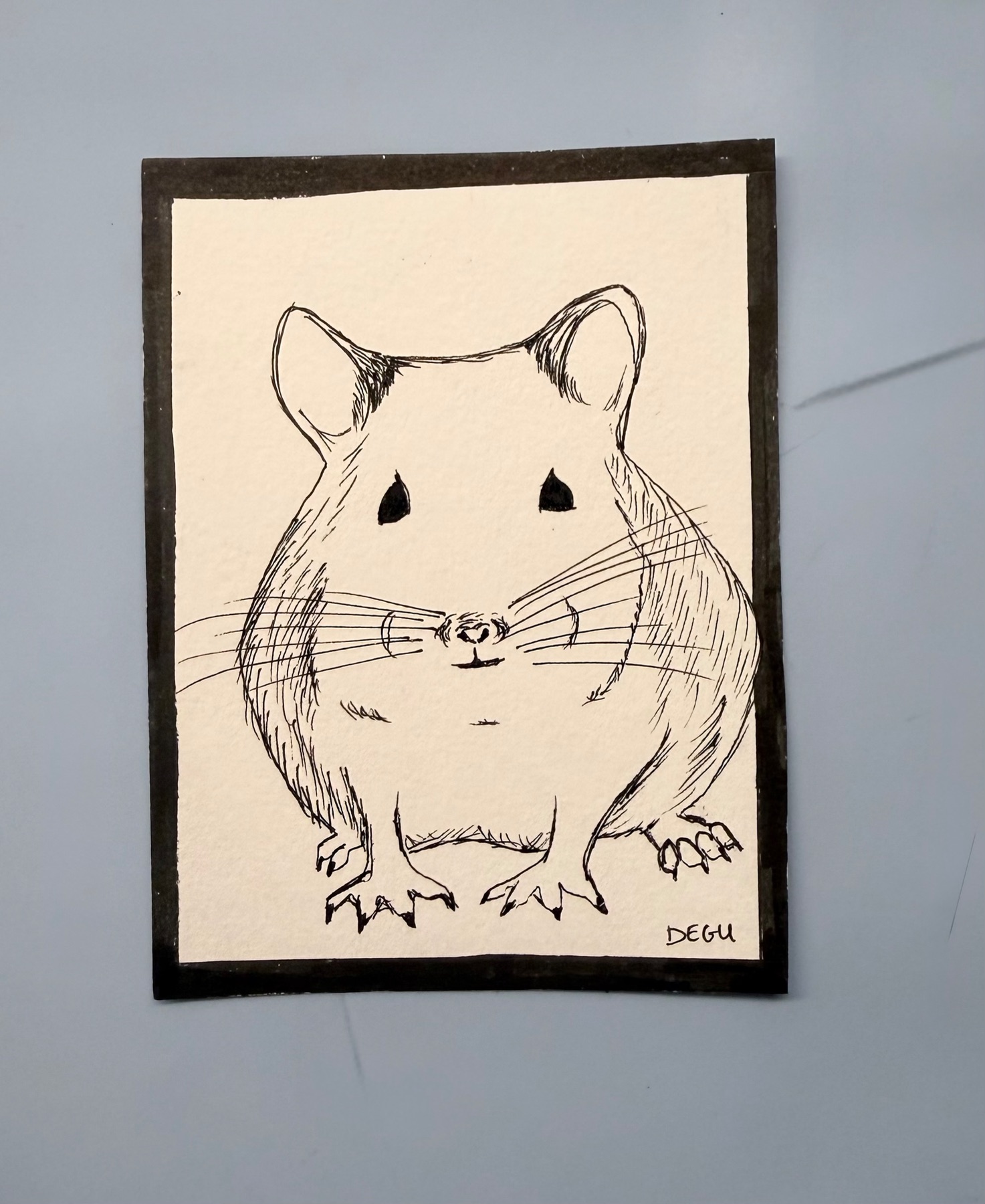 Degu/Inked sketch aceo art card