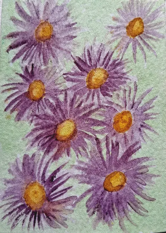 Purple Asters aceo art card