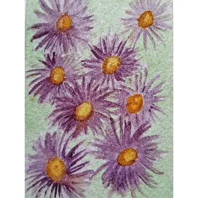 Purple Asters aceo art card thumbnail 1