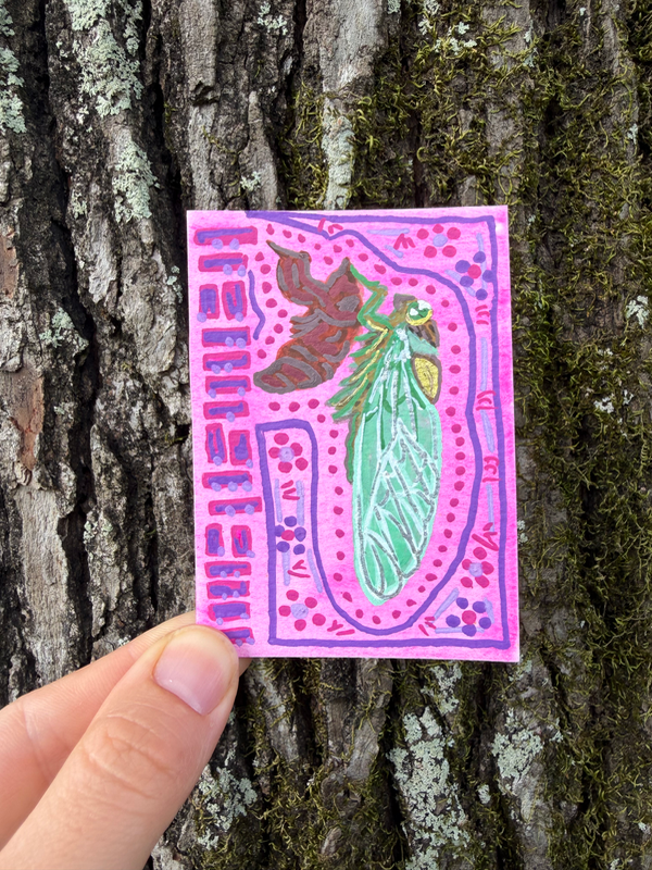 Cicada exuviae, Summer in Louisiana, New Beginnings aceo art card