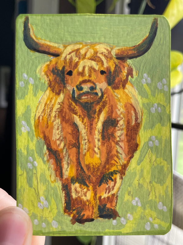 Highland cow portrait- “Golden Calf” - original by Norah Mae aceo art card
