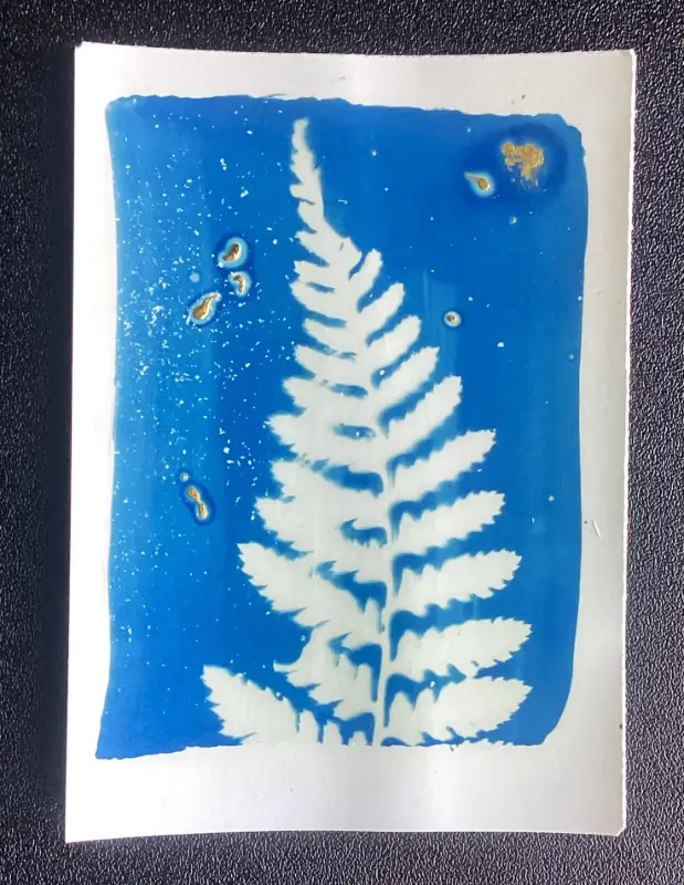 twist aceo art card