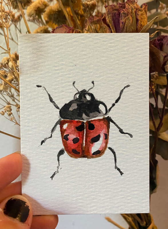 ladybug aceo art card
