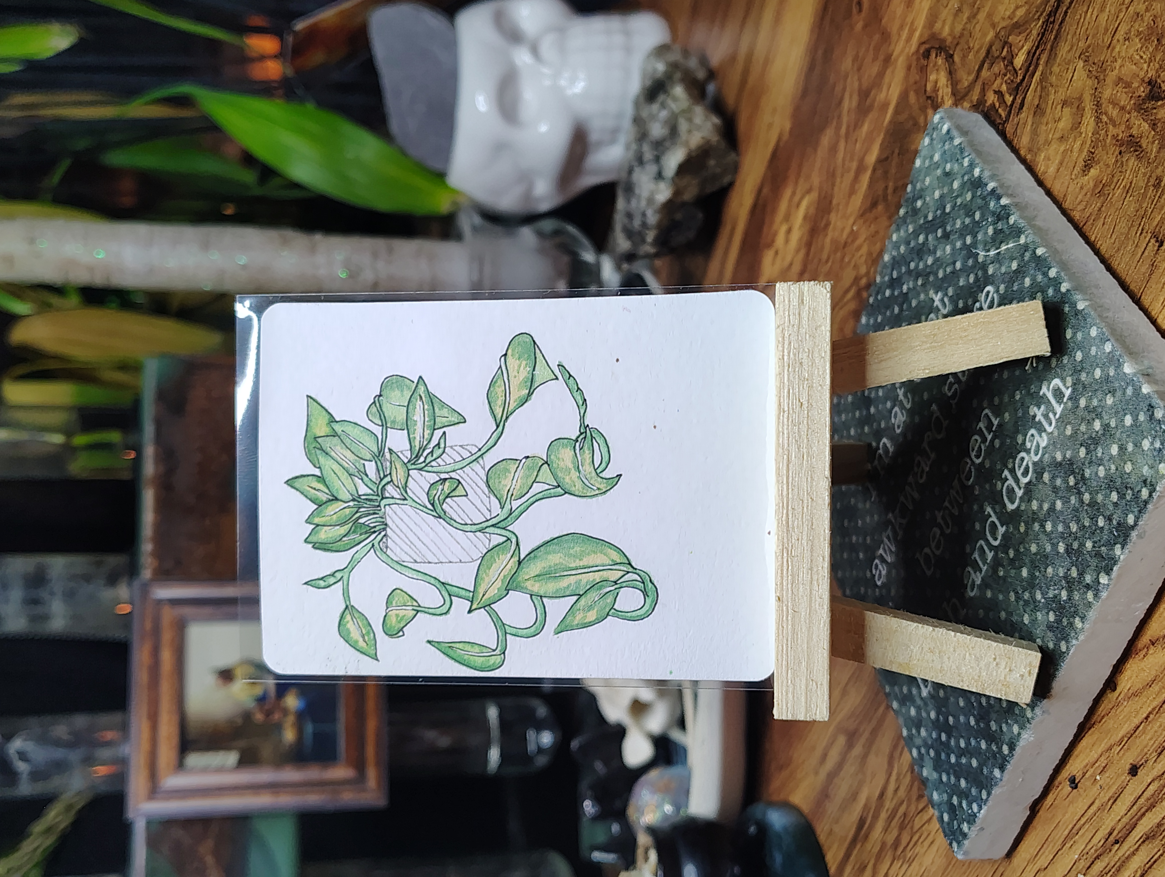 Beneficial Botanicals 2/8: Golden Pothos aceo art card