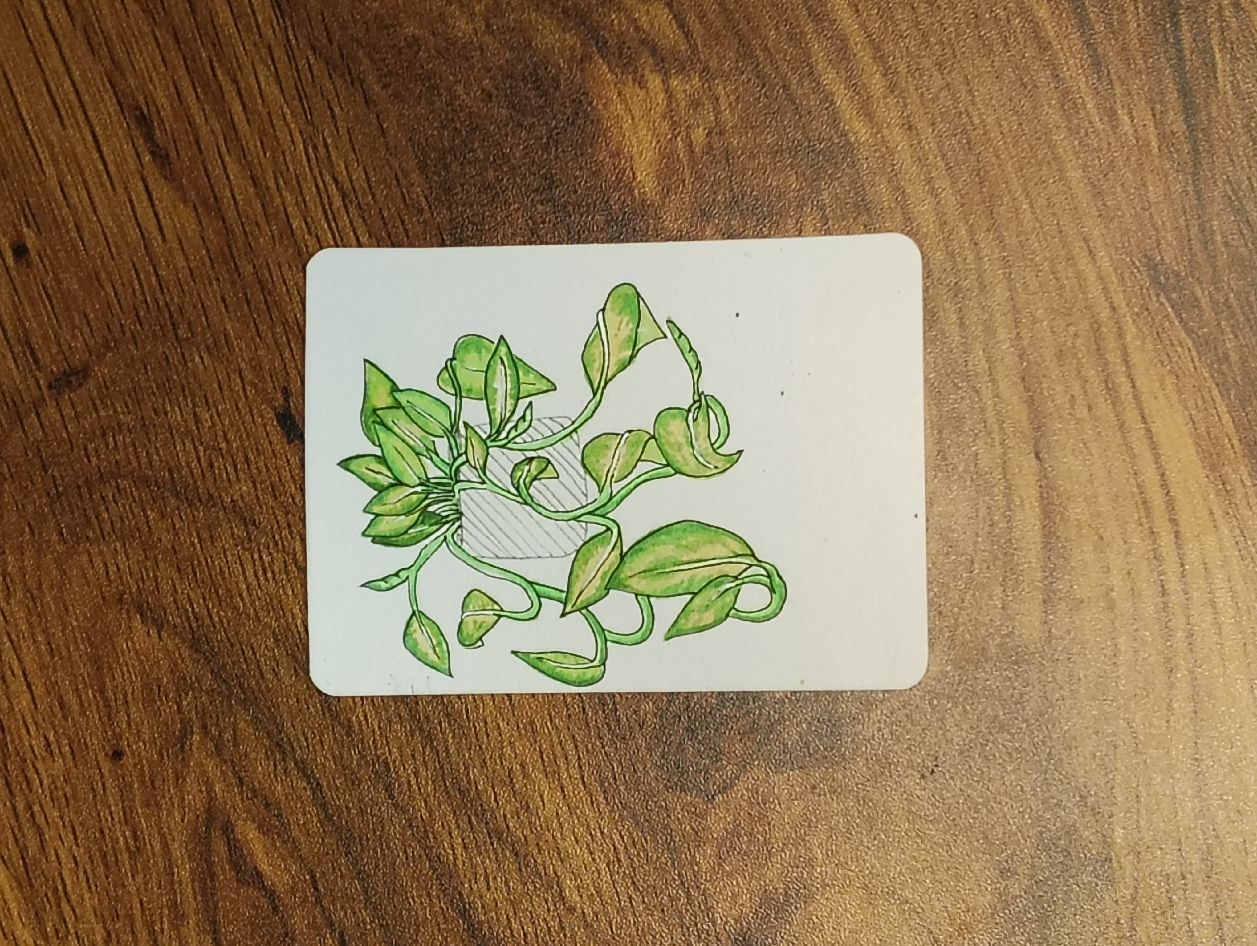 Beneficial Botanicals 2/8: Golden Pothos aceo art card thumbnail 2