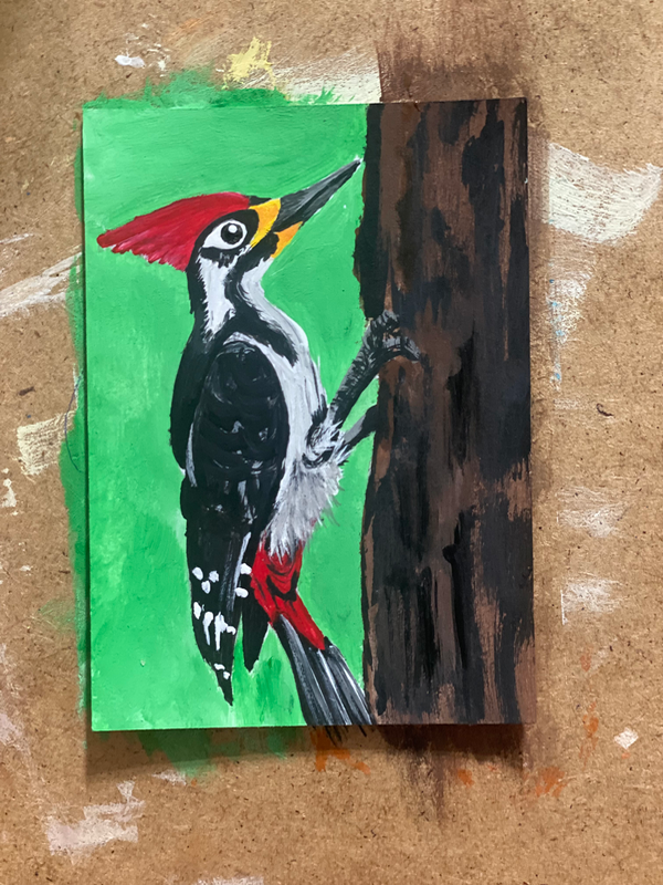 Woodpecker aceo art card