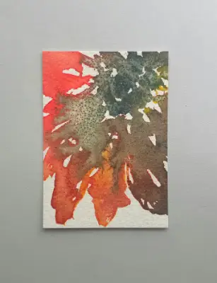Coneflower 1 aceo art card thumbnail 1