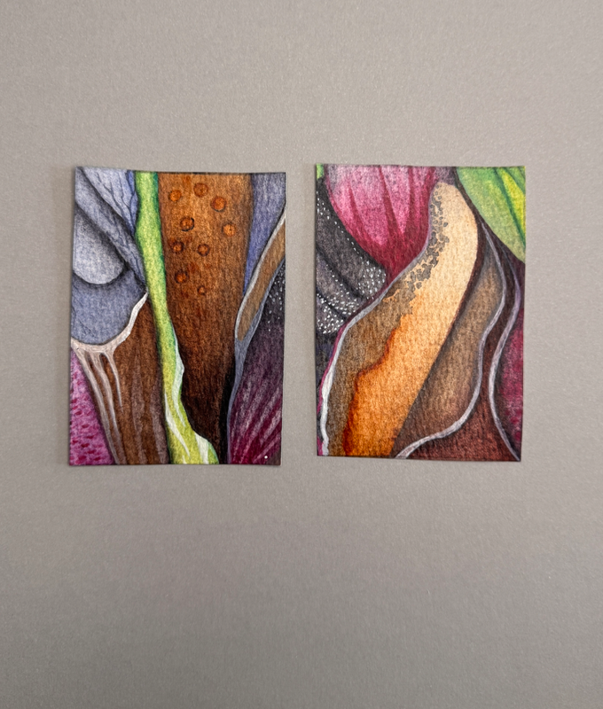 Tiger Heron I and II aceo art card