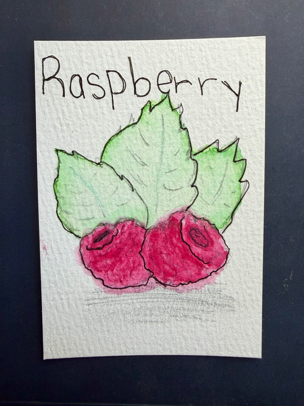 Raspberry | Fruit Collection aceo art card