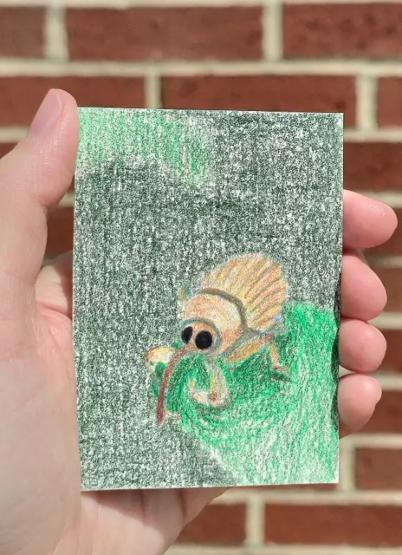 Acorn weevil on a leaf aceo art card