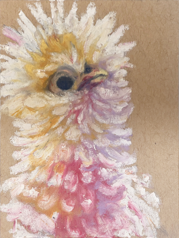 Fluffy Chicken aceo art card