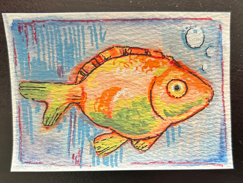 Goldfish aceo art card