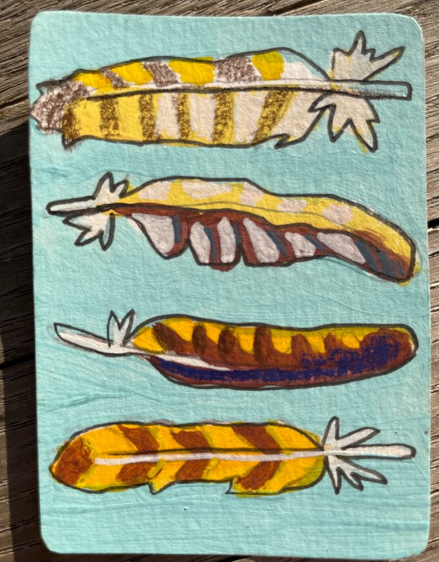 Feather collection aceo art card