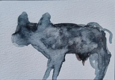 Original WaterColour New Baby Black Calf by CheyAnne aceo art card thumbnail 2