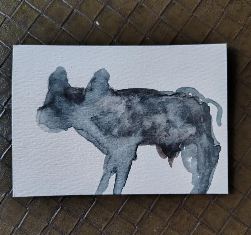 Original WaterColour New Baby Black Calf by CheyAnne aceo art card