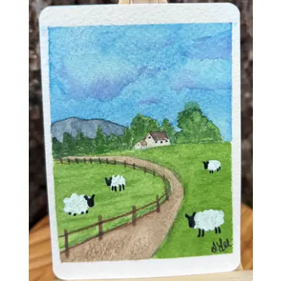 Sheep Study: Four Sheep aceo art card thumbnail 2