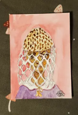Phallus indusiatus Mushroom Girl 3/4 aceo art card thumbnail 1