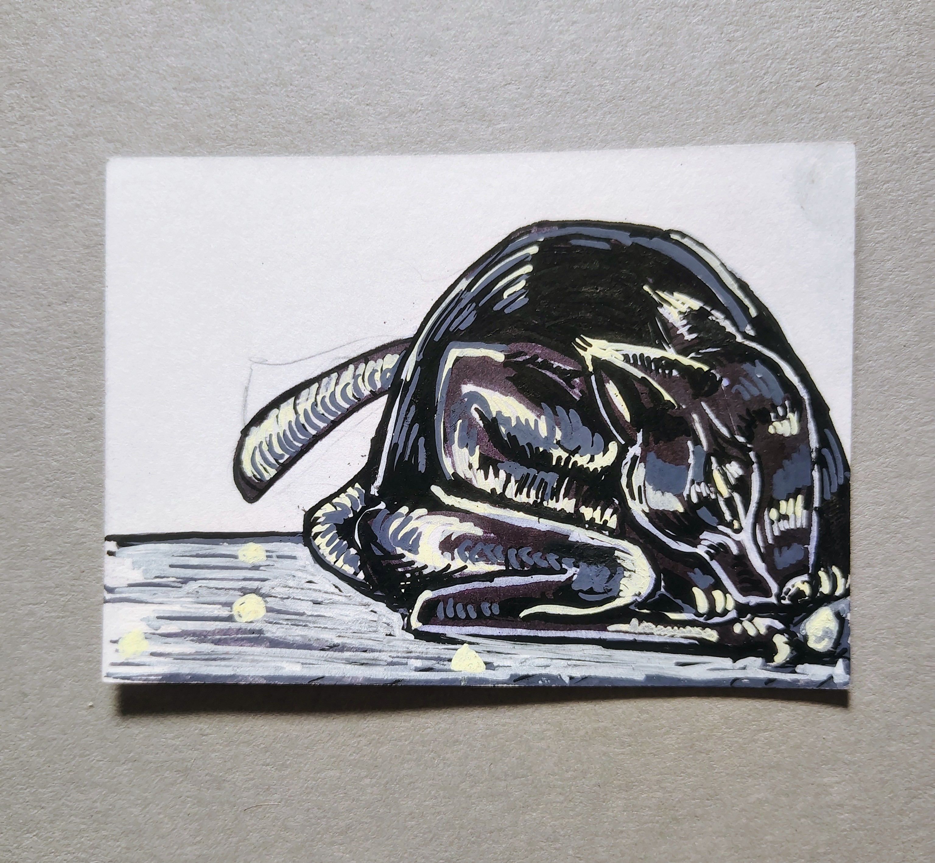 Squabbit aceo art card