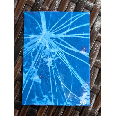 Farmer's Market Fireworks (Original Cyanotype) aceo art card thumbnail 2