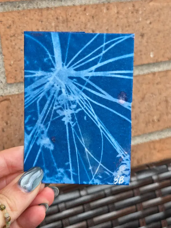 Farmer's Market Fireworks (Original Cyanotype) aceo art card