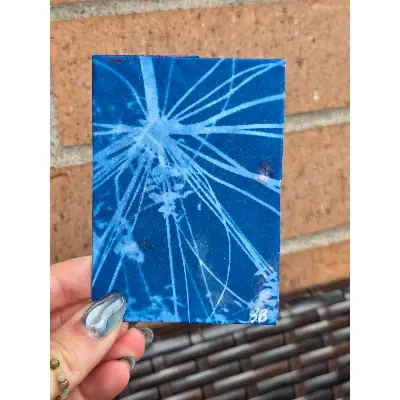 Farmer's Market Fireworks (Original Cyanotype) aceo art card thumbnail 1