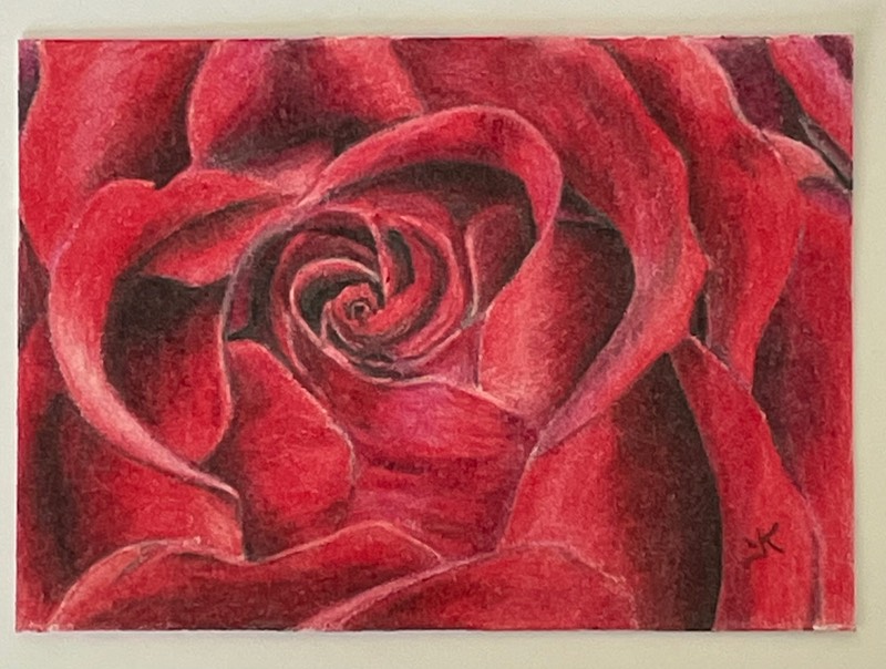 Roses Are Red aceo art card