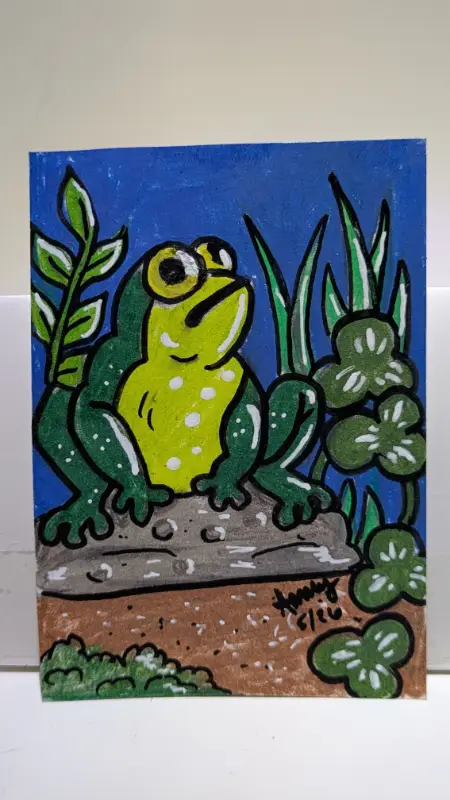 I Am Frog on Rock, Thinking About The Universe aceo art card