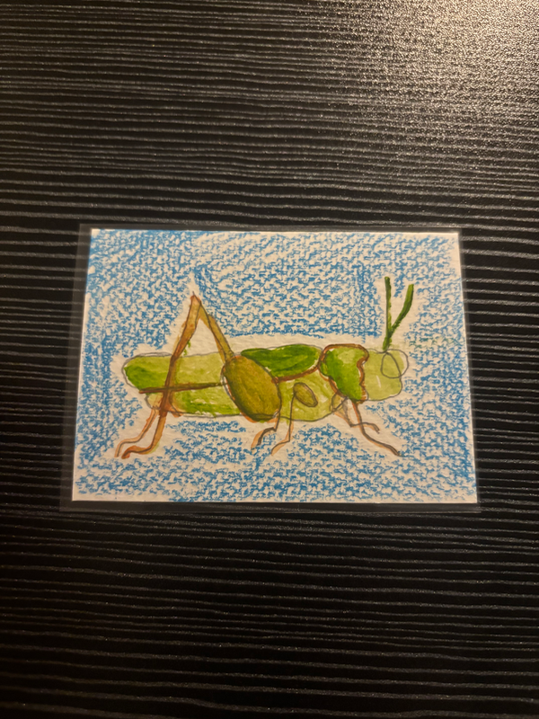 Grasshopper aceo art card
