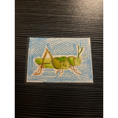 Grasshopper aceo art card thumbnail 1