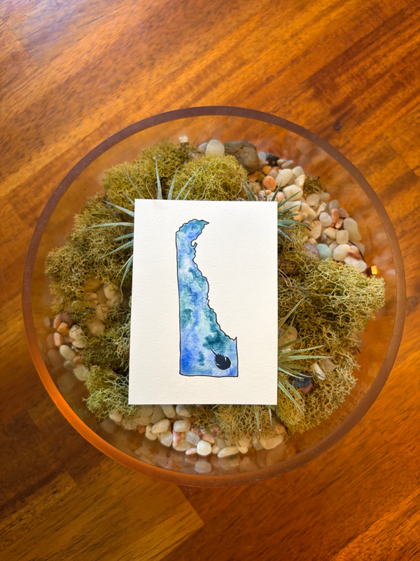 Delaware: Horseshoe Crab aceo art card