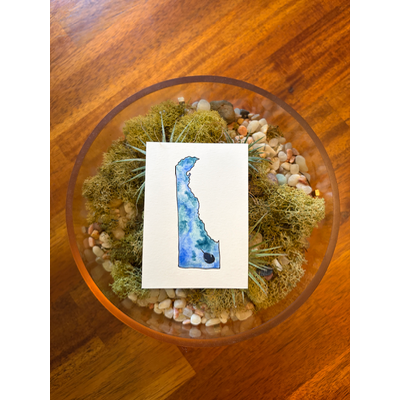 Delaware: Horseshoe Crab aceo art card thumbnail 1