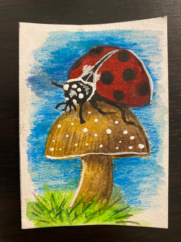 Lady mushroom aceo art card